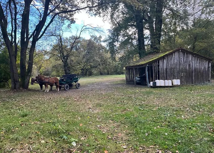 Sziget Veranka Ersekcsanad